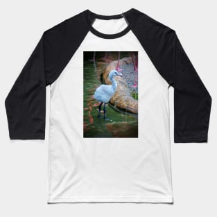 American Flamingo Chick Baseball T-Shirt